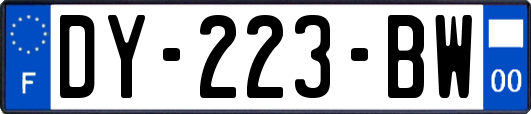 DY-223-BW