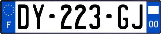 DY-223-GJ