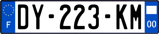 DY-223-KM