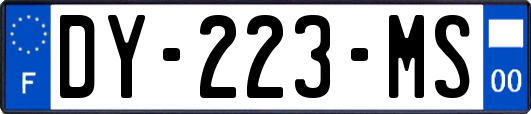 DY-223-MS