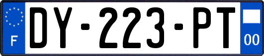 DY-223-PT