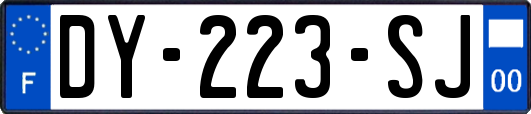 DY-223-SJ