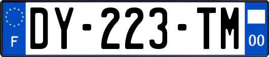 DY-223-TM