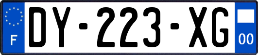 DY-223-XG