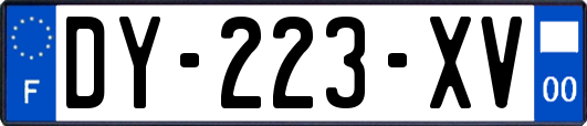 DY-223-XV