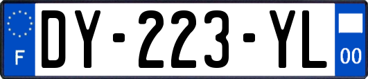 DY-223-YL