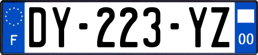DY-223-YZ