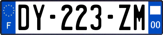 DY-223-ZM