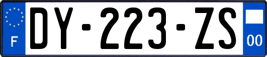 DY-223-ZS