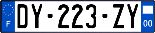 DY-223-ZY