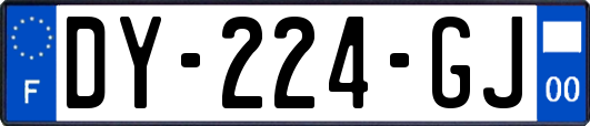 DY-224-GJ