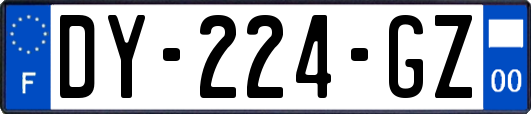 DY-224-GZ