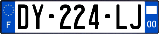 DY-224-LJ