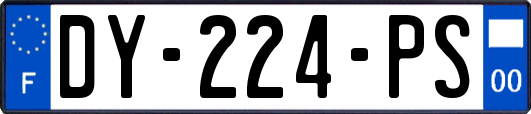 DY-224-PS