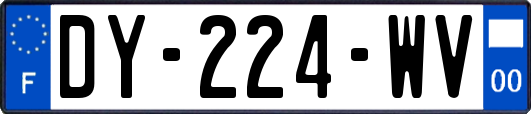 DY-224-WV