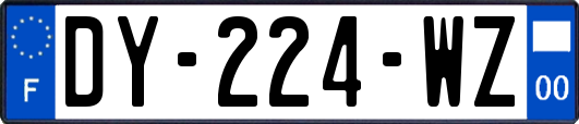 DY-224-WZ