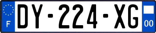 DY-224-XG