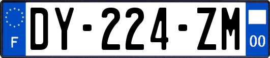 DY-224-ZM