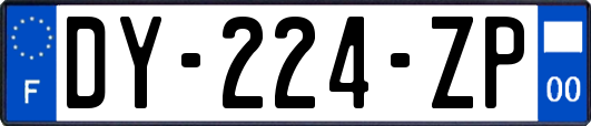 DY-224-ZP