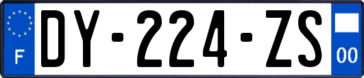 DY-224-ZS