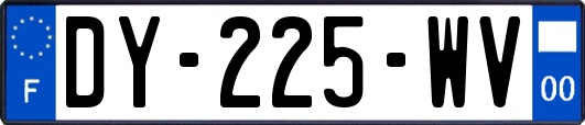 DY-225-WV