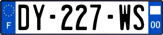 DY-227-WS