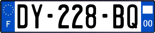 DY-228-BQ