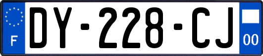 DY-228-CJ