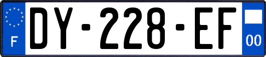 DY-228-EF