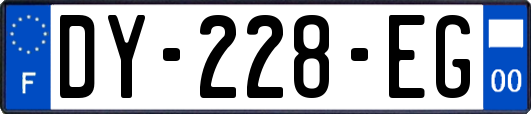 DY-228-EG