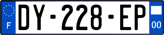 DY-228-EP