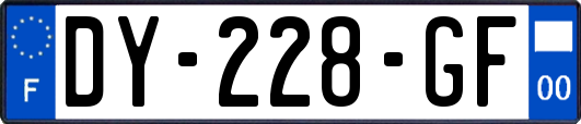 DY-228-GF