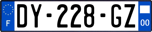 DY-228-GZ