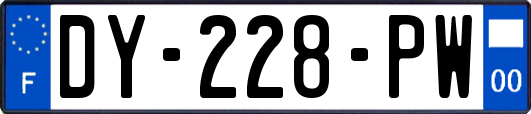DY-228-PW