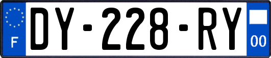 DY-228-RY