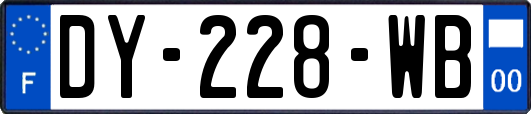 DY-228-WB