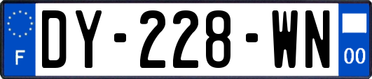 DY-228-WN