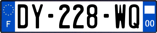 DY-228-WQ