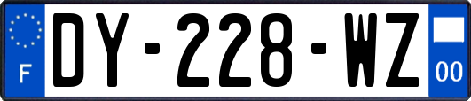 DY-228-WZ