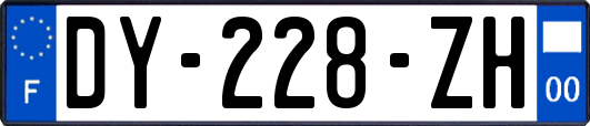 DY-228-ZH