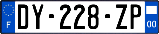 DY-228-ZP