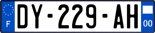 DY-229-AH