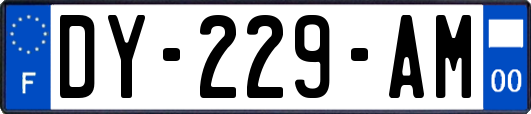 DY-229-AM