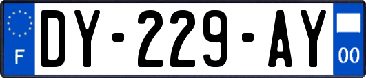 DY-229-AY