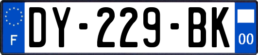 DY-229-BK
