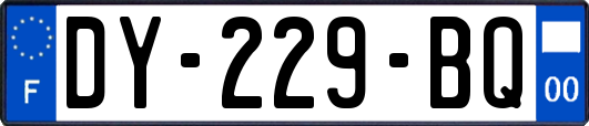 DY-229-BQ