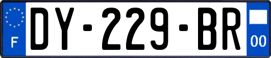 DY-229-BR