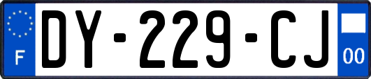 DY-229-CJ