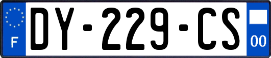 DY-229-CS
