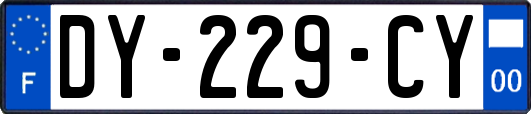 DY-229-CY